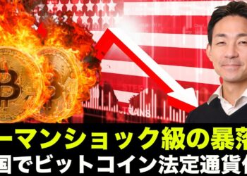 仮想通貨でリーマンショック級の大暴落？米国でビットコイン法定通貨化？