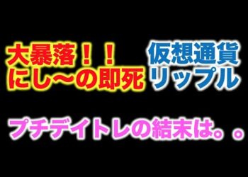 仮想通貨 リップル 大暴落！！にしーの即死！ プチデイトレの結末は。。