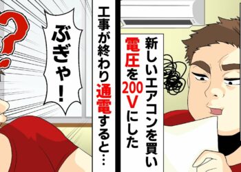 突然電気代がＵＰ！エアコン用に電圧を200Vにしたら「ぶぎゃ！！」と悲痛な叫び声が聞こえた。実はww