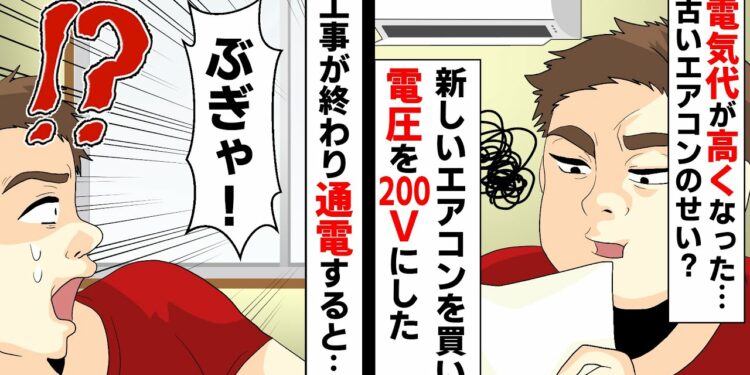 突然電気代がUP!エアコン用に電圧を200Vにしたら「ぶぎゃ!!」と悲痛な叫び声が聞こえた。実はww
