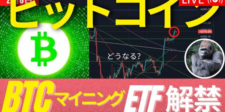 [朗報]ビットコインMiner ETFがNasdaqで明日解禁！ポリゴンが500億円の投資受ける！  #BTC #ETH #仮想通貨