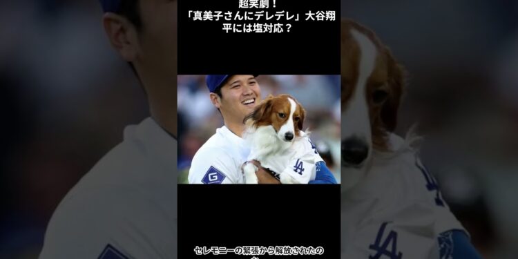 超笑劇!「真美子さんにデレデレ」大谷翔平には塩対応? 真美子夫人にベタ惚れのデコピンの表情が話題沸騰 #プロ野球 #nbp #野球 #shorts #short #田中真美子 #大谷真美子