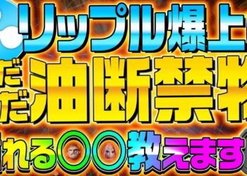 【リップル警戒速報】XRPの爆上げは油断禁物！？SEC訴訟が遂に動いた！裁判によって仮想通貨の今後が大きく変わります！【ビットコイン】【メタゴット】