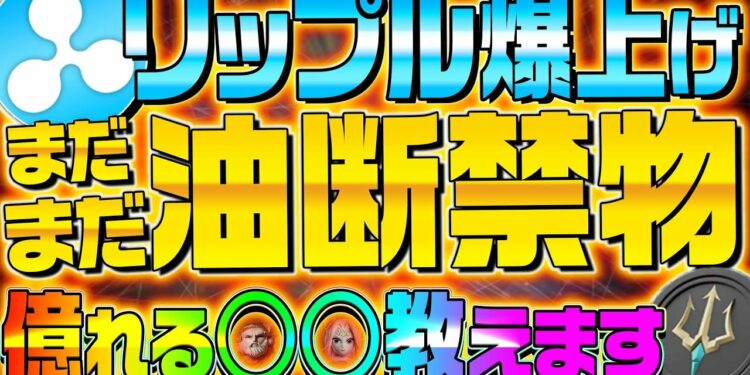 【リップル警戒速報】XRPの爆上げは油断禁物!?SEC訴訟が遂に動いた!裁判によって仮想通貨の今後が大きく変わります!【ビットコイン】【メタゴット】