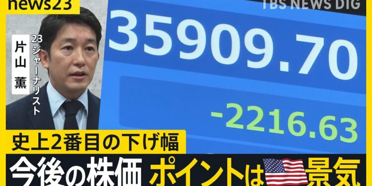 「日本の歴史に残る急落」日経平均2200円超の暴落にNISAで投資する人は？ 今後の株価はどうなる？背景にアメリカ経済への不安感【news23】｜TBS NEWS DIG