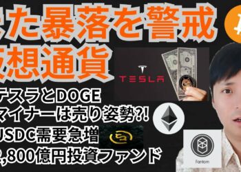 また暴落を警戒⁉️仮想通貨ニュース+BTC ETH DOGE FTM チャート分析💹テスラ, USDC, FTX, 投資ファンド, マイナー