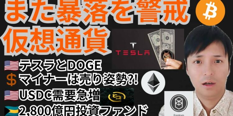 また暴落を警戒⁉️仮想通貨ニュース+BTC ETH DOGE FTM チャート分析💹テスラ, USDC, FTX, 投資ファンド, マイナー