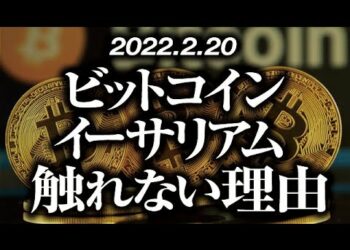 ビットコイン・イーサリアム触れてはいけない理由［2022/2/20］【仮想通貨・BTC・ETC】