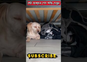 Tool Item😍! New Viral Gadget, smart appliances, Kitchen Utensils/Home Inventions #shorts #gadgets