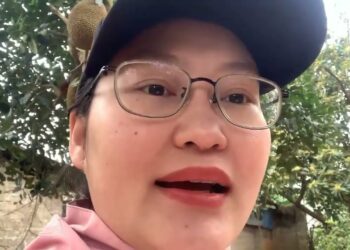 giới thiệu về cây mít thái có quả ăn ngon cực kỳ