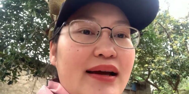 giới thiệu về cây mít thái có quả ăn ngon cực kỳ