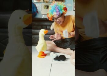 Oh coka gadget smat fun make done it all