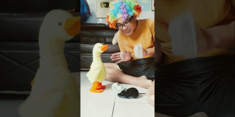 Oh coka gadget smat fun make done it all