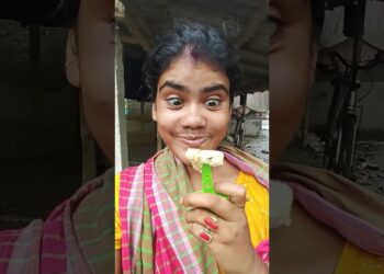 GADGET PROTECTOR DE PALETAS NECESITAS! ¡LO🍭😋😲🙆#shorts