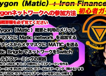 Polygon（Matic）の始め方や使い方（初心者用）。QUICKSWAPでのLP作成方法など。※IRONは撤退済み【仮想通貨DeFi講座】