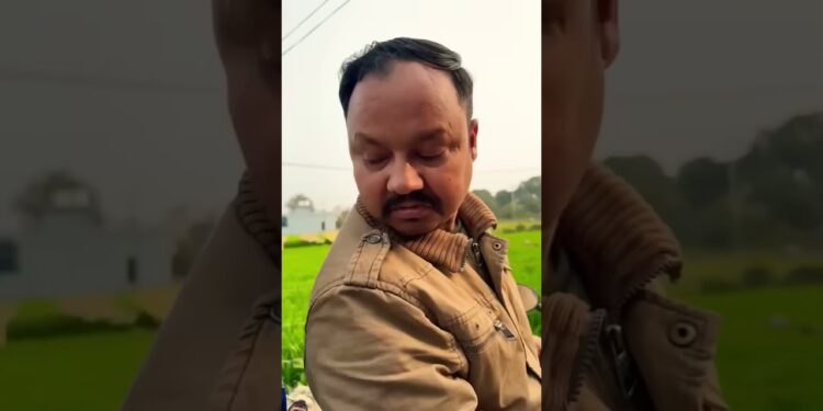 smart appliances! new gadget, versatile utensils, tools items #shorts #gadgets