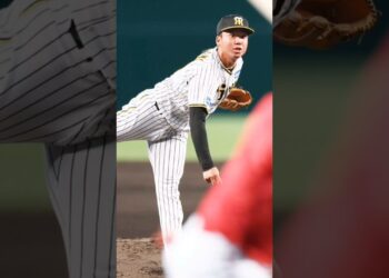 #janasena #阪神タイガース #阪神応援団 #combatsportsnews #news #プロ野球 #スポーツニュース #野球