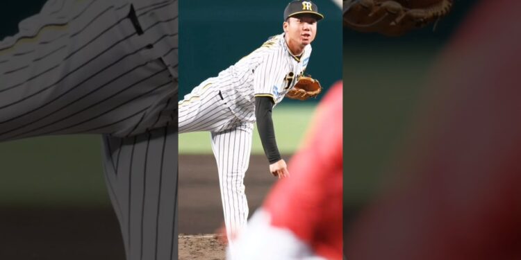 #janasena #阪神タイガース #阪神応援団 #combatsportsnews #news #プロ野球 #スポーツニュース #野球