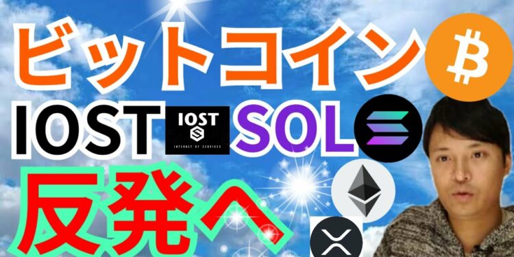 ビットコイン IOST SOLANA 反発へ✨✨【仮想通貨 BTC ETH XRP IOST SOL チャート分析】