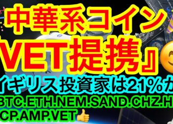 🎉中華系通貨『VET』提携🎉ビットコインは35000ドル超えが肝‼️イギリス投資家の21%が投機寄り❗️❓ 【仮想通貨 BTC.ETH.NEM.SAND.CHZ.HOT.ICP.AMP.VET】