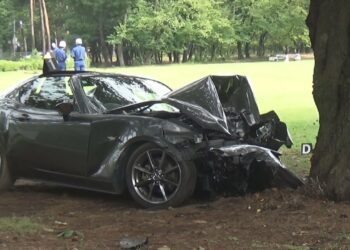 公園の立ち木にスポーツカー衝突　58歳男性が死亡　芝生の上を約100ｍ走行か
