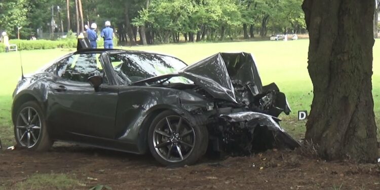 公園の立ち木にスポーツカー衝突　58歳男性が死亡　芝生の上を約100ｍ走行か