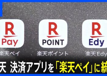 楽天 決済系アプリを「楽天ペイ」に統合　金融事業強化しモバイル含めたグループ全体の底上げへ｜TBS NEWS DIG