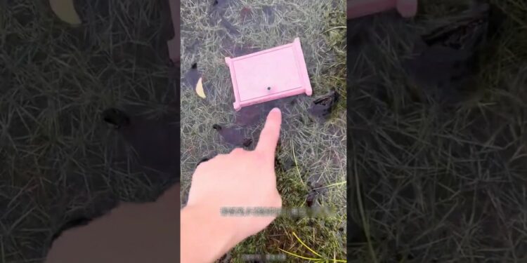 Anywhere door से नीकला spunch box-New viral gadget,smart appliances,kitchen utensils/Home inventions