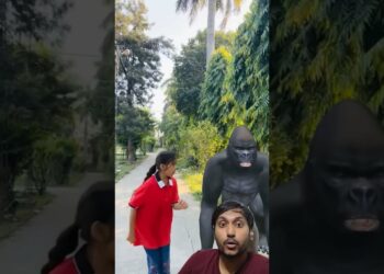 Organize Your Home with These Must -Have Smart Gadget #shorts #gorilla