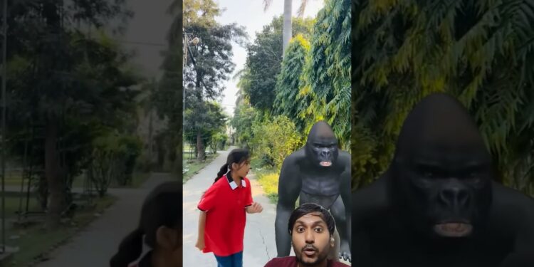 Organize Your Home with These Must -Have Smart Gadget #shorts #gorilla