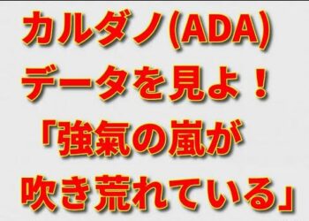 カルダノ(ADA)「眠れる巨人」のデータが示す強氣の嵐！ADAの保有アドレスと保有残高、TVLも急増中！！