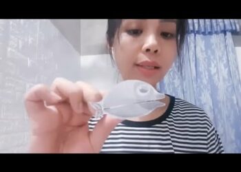 Làm con cá với chiếc kẹp quần áo vô cùng dễ