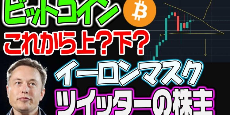 ビットコイン上？下？イーロンマスクがツイッターの株主になったぞ！