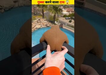 KUCH KAMAL ke Gadget | 🤯 Gadget |  #shorts #woodworking #smartphone #factshindi #trending