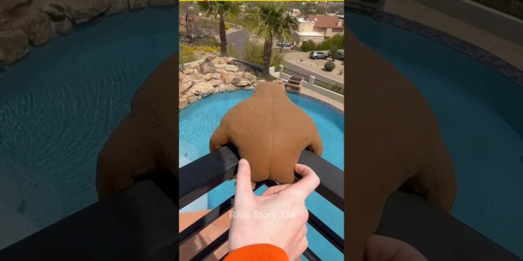 KUCH KAMAL ke Gadget | 🤯 Gadget |  #shorts #woodworking #smartphone #factshindi #trending