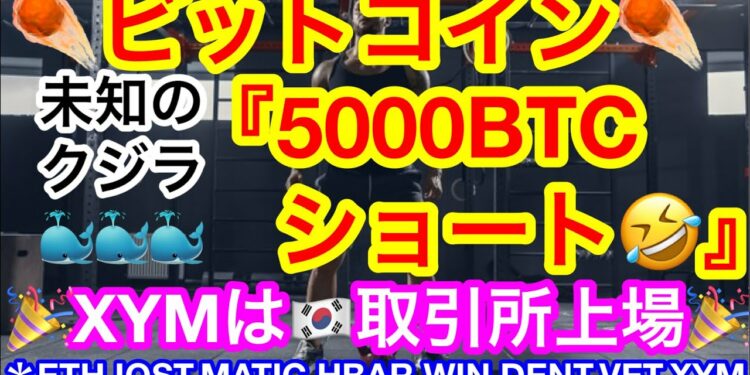 🐳クジラが5000BTC以上をショート‼️🐳symbol(XYM)韓国取引所上場🎉 【仮想通貨 BTC.ETH.IOST.MATIC.HBAR.WIN.DENT.VET.XYM】