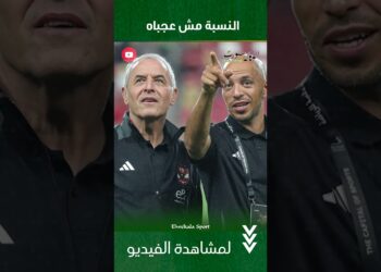 النسبة مش عجبااااه..راعي خليجي ومحب ينهوا أزمة عقود الشناوي مع الأهلي