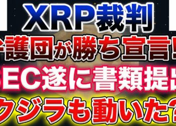 【XRP弁護団、勝訴宣言とも】SEC遂に書類提出！リップル訴訟、海外メディアから見る最新情報お話します！【仮想通貨】【アルトコイン】