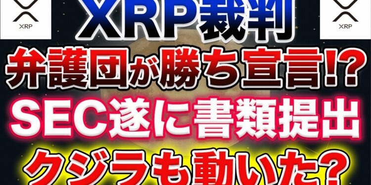 【XRP弁護団、勝訴宣言とも】SEC遂に書類提出!リップル訴訟、海外メディアから見る最新情報お話します!【仮想通貨】【アルトコイン】
