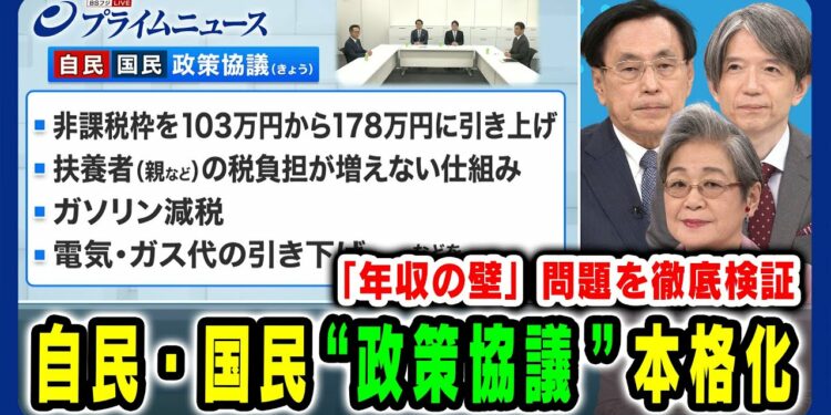 【「年収の壁」問題を徹底検証】自民・国民 “政策協議”本格化 森信茂樹×荻原博子×加谷珪一 2024/11/8放送<前編>