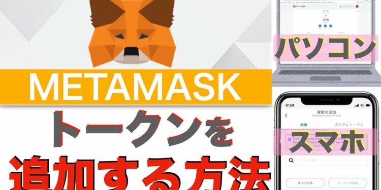 【初心者向け】送ったコインが反映されない！？METAMASK（メタマスク）のよくある質問を解決！〜トークンの追加方法について〜