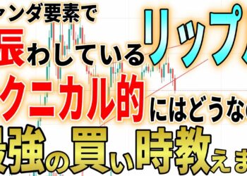 【XRP重大速報‼︎】今後のチャートの注意点を伝授！！リップル裁判で世間を賑わしていますが最新の最強買い時ポイントとは？【仮想通貨】【ニュース】【ビットコイン】