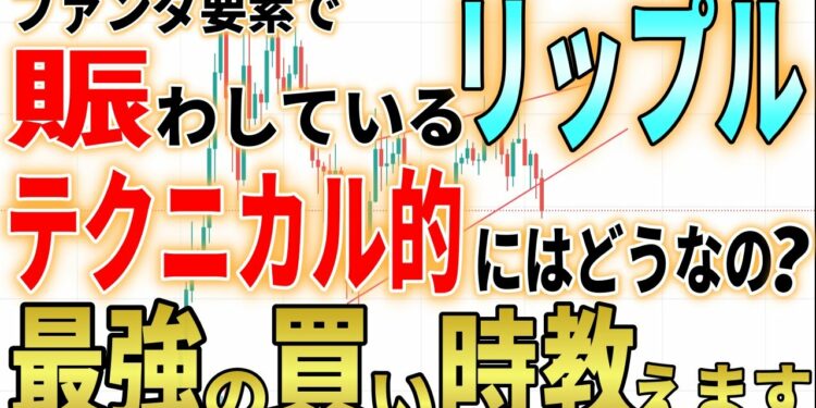 【XRP重大速報‼︎】今後のチャートの注意点を伝授！！リップル裁判で世間を賑わしていますが最新の最強買い時ポイントとは？【仮想通貨】【ニュース】【ビットコイン】