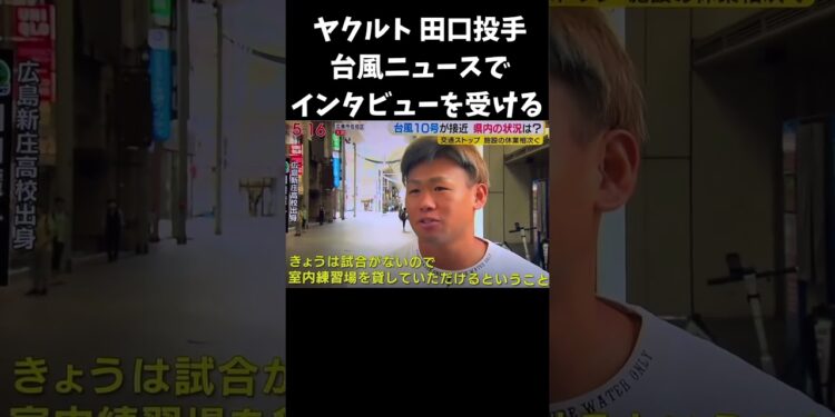 ヤクルト田口投手 台風のニュースでインタビューを受ける #野球 #ヤクルト #台風