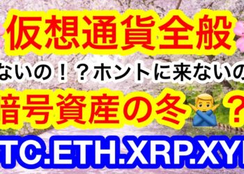 🌸仮想通貨の冬は無し❗️❓6ヶ月後に強気再開❓韓国が国を挙げてメタバース事業をやる❤️‍🔥ビットコインは逆三尊成立からの🚀【仮想通貨 BTC.ETH.XRP.XYM】