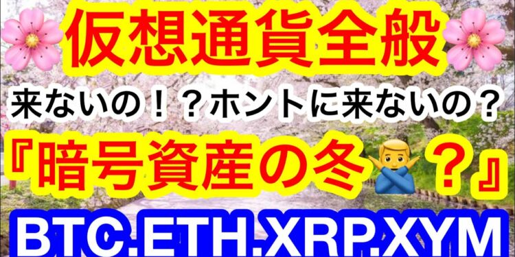 🌸仮想通貨の冬は無し❗️❓6ヶ月後に強気再開❓韓国が国を挙げてメタバース事業をやる❤️‍🔥ビットコインは逆三尊成立からの🚀【仮想通貨 BTC.ETH.XRP.XYM】