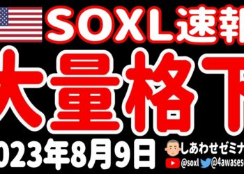 【ムーディーズ・ショック】ウギャァァァ！😱新たな金融危機の発生かあァァァ！【8月9日 朝の米国株ニュース】