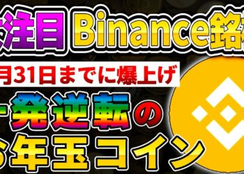 【仮想通貨】年末までに爆上げ濃厚！絶好の仕込み時のコインを紹介します【dydx】