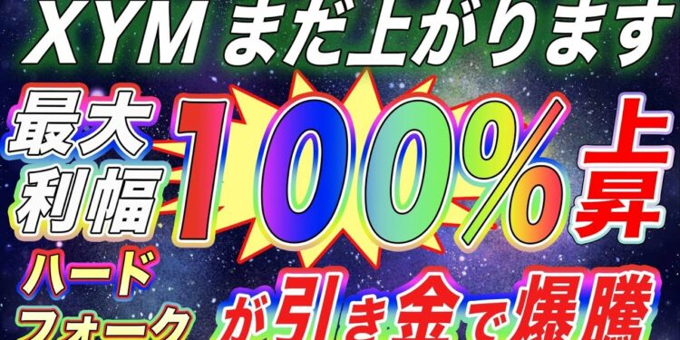 【XYMまだ上がります】最大100％上げも! シンボルがついにハードフォーク完了‼︎年内まだまだ狙えます。【仮想通貨】【アルトコイン】