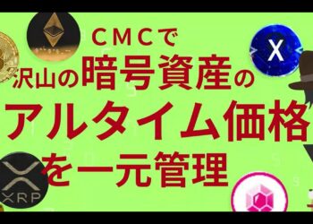【仮想通貨ポートフォリオ】CMCで暗号資産をリアルタイム一元管理する方法